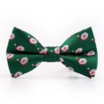 Weihnachtsfliege  GREEN WITH SANTA'S FACE