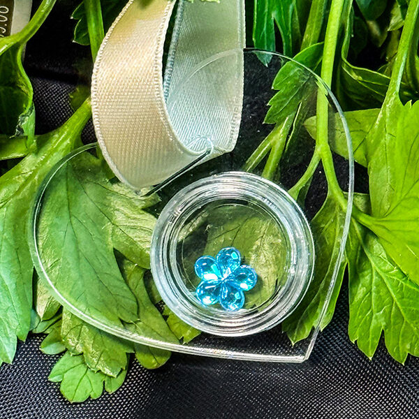 Plexi-Herzwerk - Herz aus Acryglas mit Aufbewahrungs Kapsel